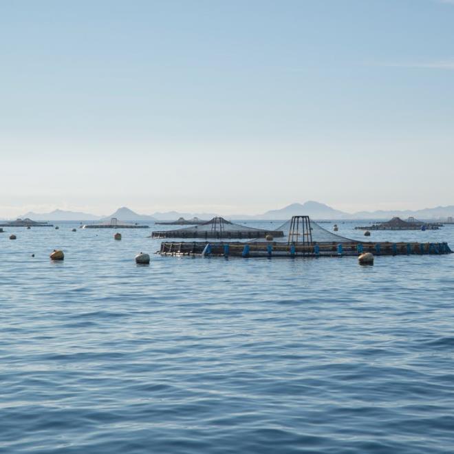 1656056925221507.jpg 養殖.jpg