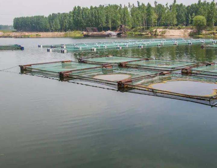 水產養(yǎng)殖.jpg