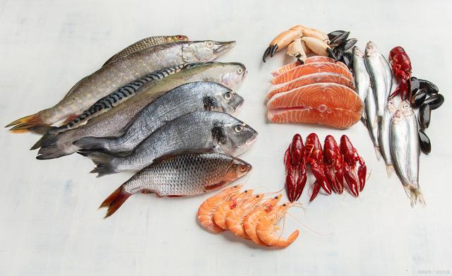 1680160532555184.jpeg 水產養殖.jpeg