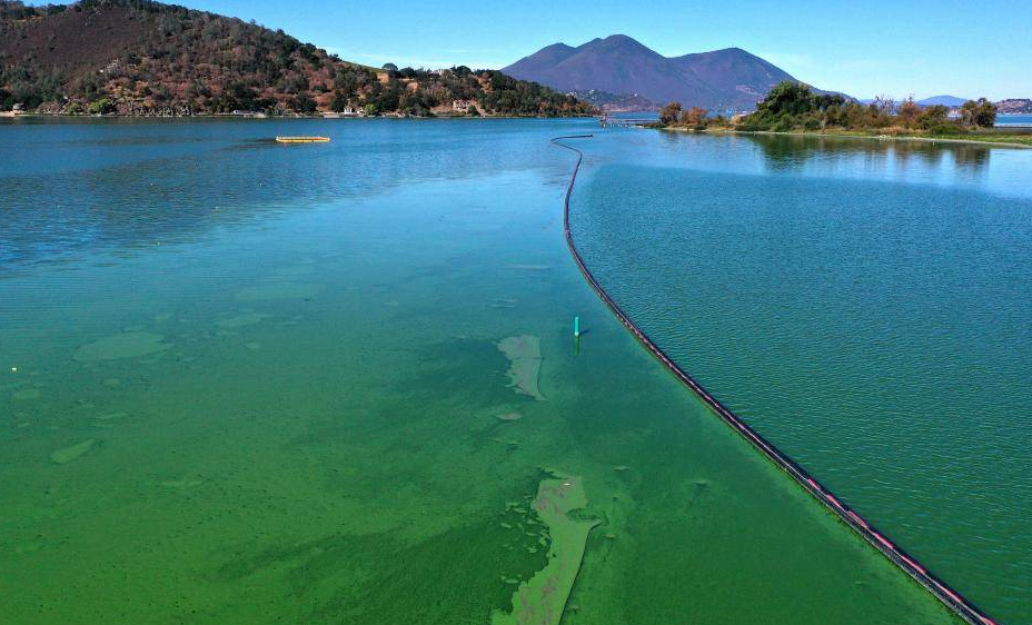 1719370857604572.png 1719370857604572.png