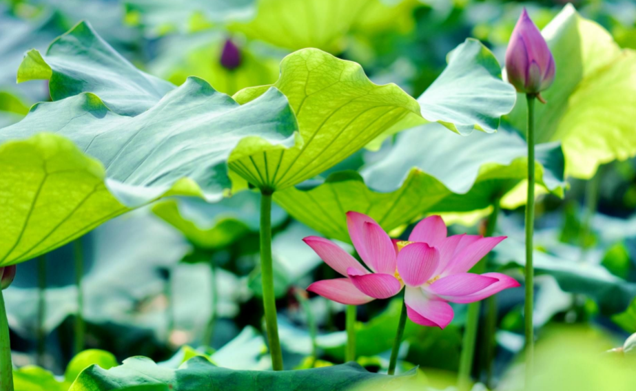 1719371004762092.png 1719371004762092.png