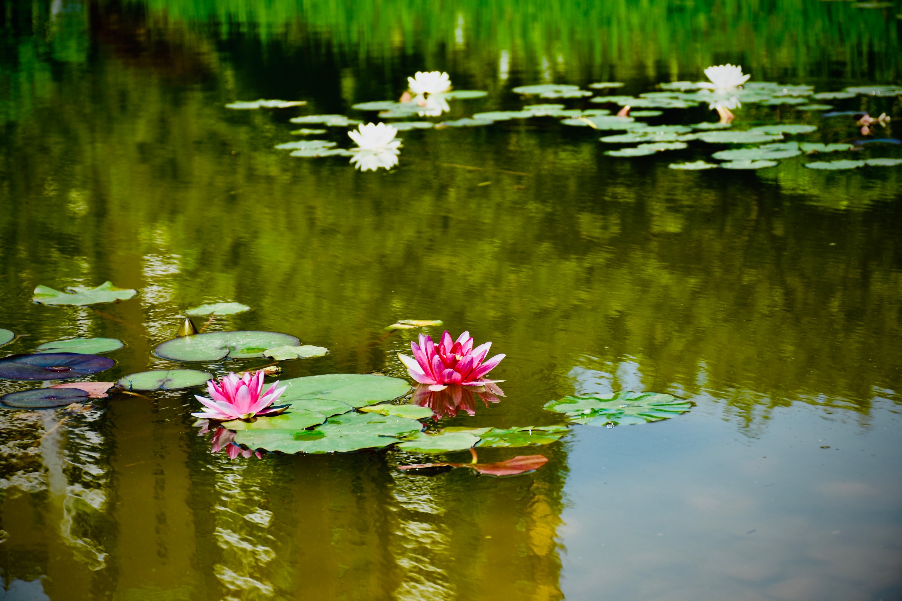 1719821079319295.jpg 1719821079319295.jpg