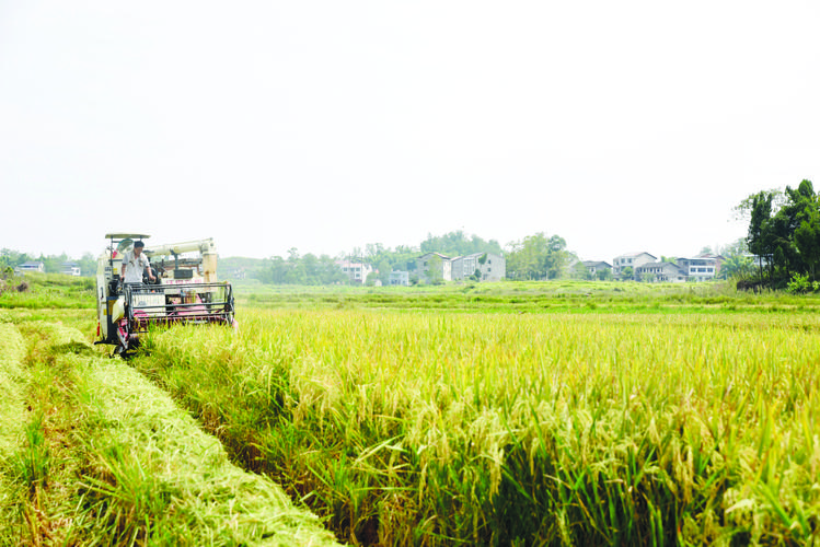 1720062091738705.jpeg 農(nóng)業(yè).jpeg