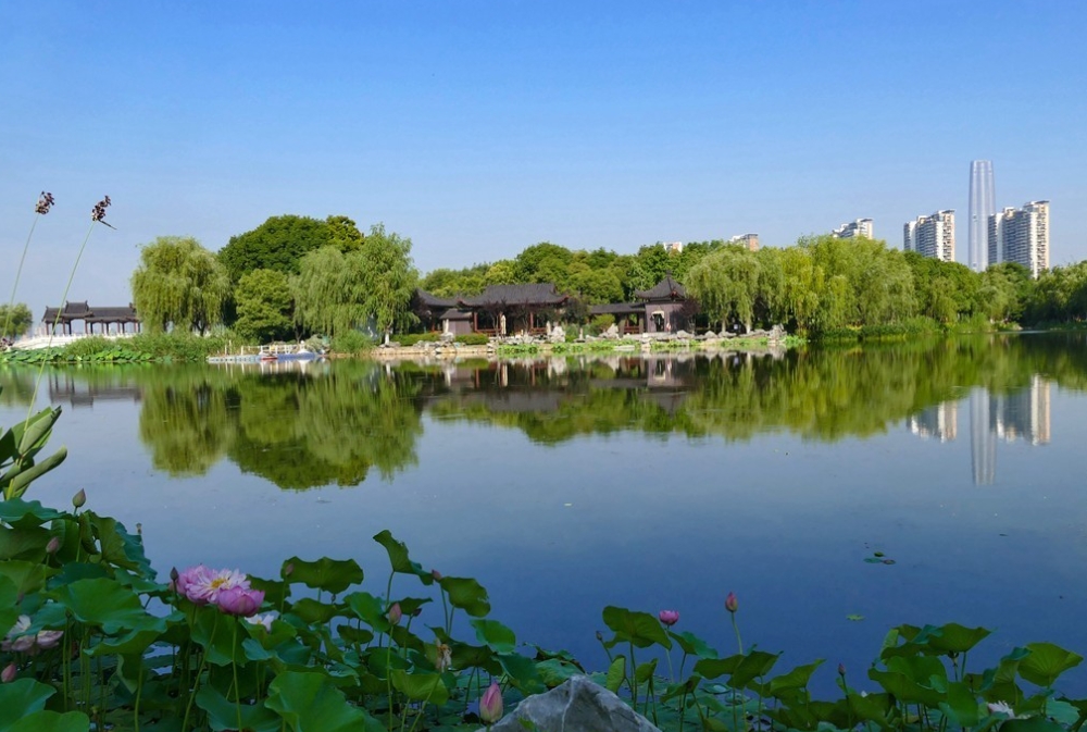 1732774660639335.jpg 1732774660639335.jpg