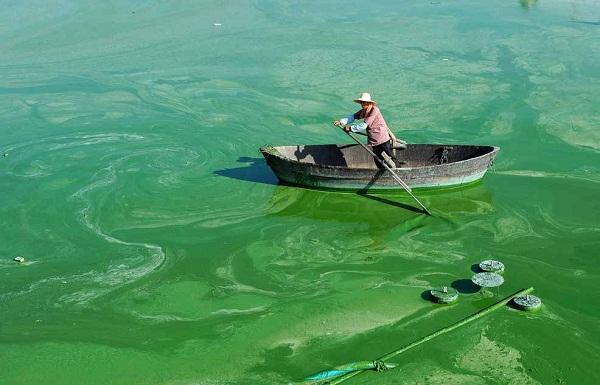 1740380941791568.jpg 82ee0b1509285a5da7b9616fbb55527f_1740105941264712.jpg