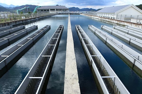 1755657058712312.jpg 自來水廠.jpg