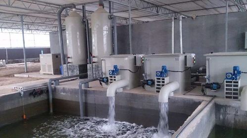 1756693442429400.jpeg 工業循環水.jpeg