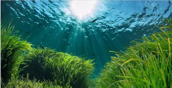 1759027772676879.jpeg 陽光.jpeg