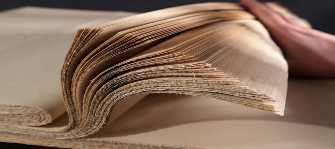 1769480512574304.png 造紙行業2.png